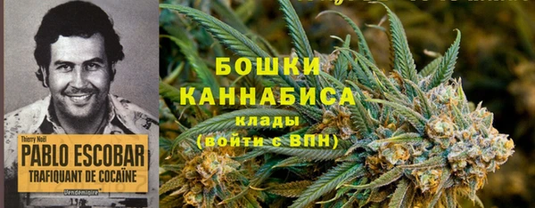 прущие грибы Алзамай