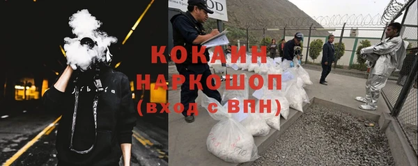 прущие грибы Алзамай