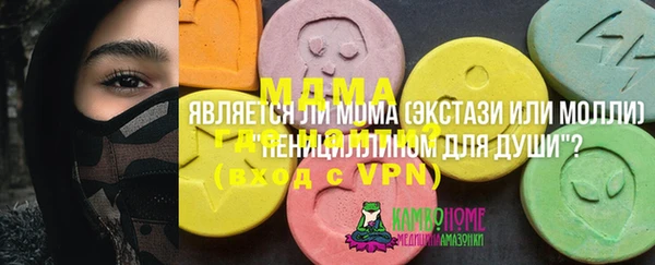 прущие грибы Алзамай