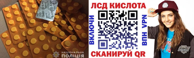 дарнет шоп  Талдом  ЛСД экстази кислота 